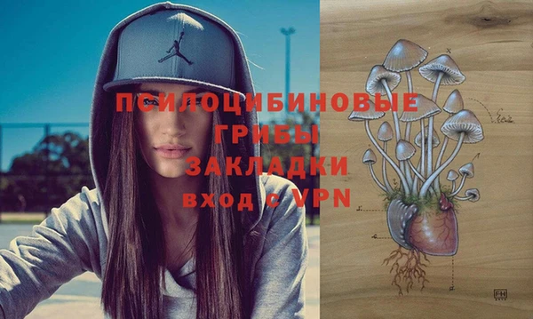 мяу мяу мука Алексеевка